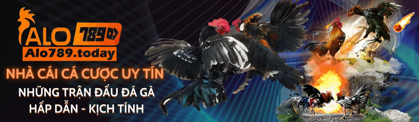 banner rhythmsession.in.net